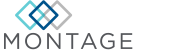 STORIS Partner Montage Logo
